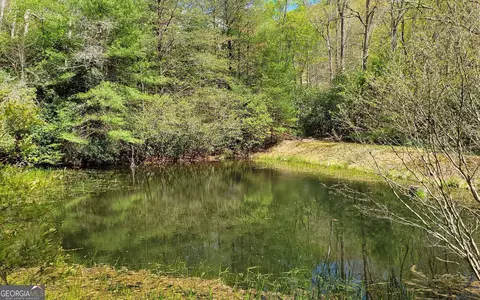 Other - 1171 Picklesimer Rd, Morganton, GA 30560 photo 18 of 27