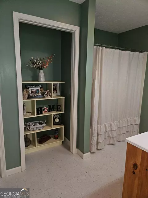 Other - 1171 Picklesimer Rd, Morganton, GA 30560 photo 10 of 27