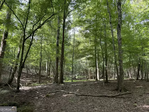 414 21 Ac County Rd 263 266, Five Points, AL 36855 photo 14
