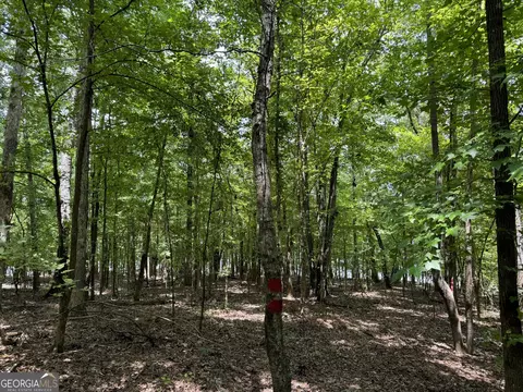 414 21 Ac County Rd 263 266, Five Points, AL 36855 photo 8