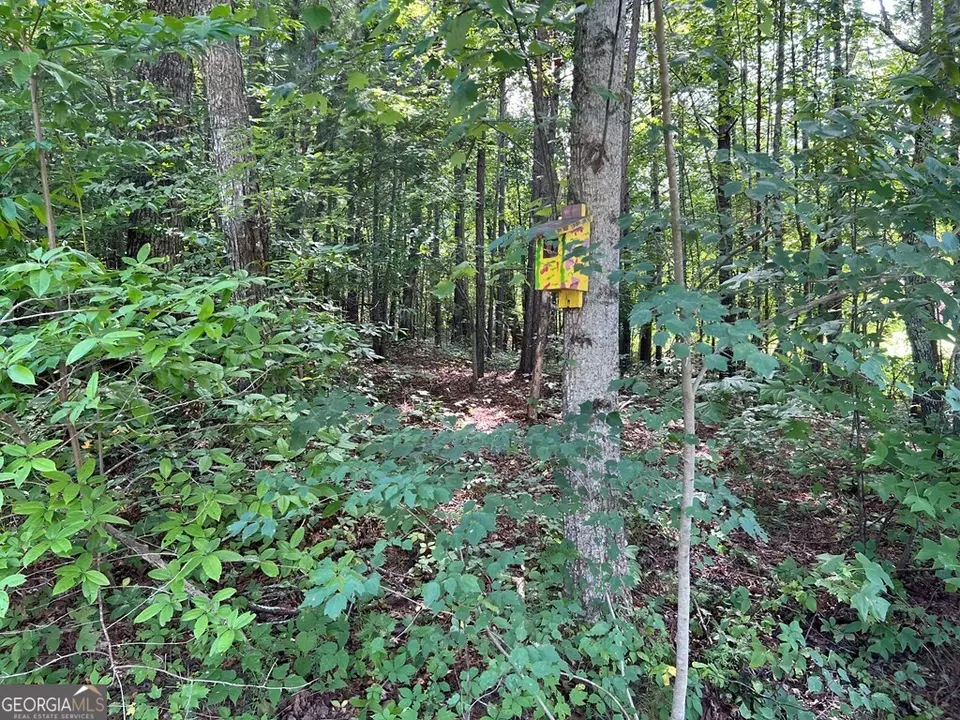  lot9 Deer Brook Subdivision, Hayesville, NC 28904 photo 12