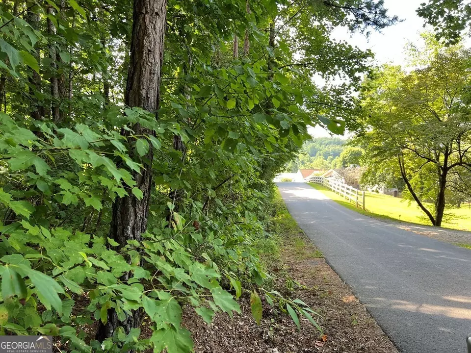  lot9 Deer Brook Subdivision, Hayesville, NC 28904 photo 10