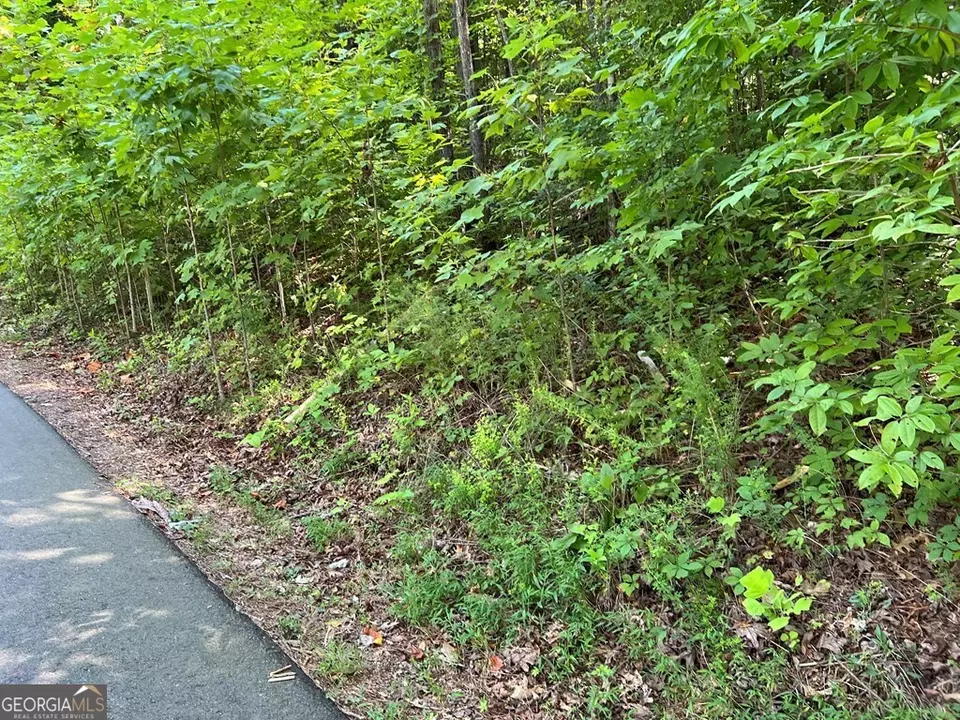  lot9 Deer Brook Subdivision, Hayesville, NC 28904 photo 13