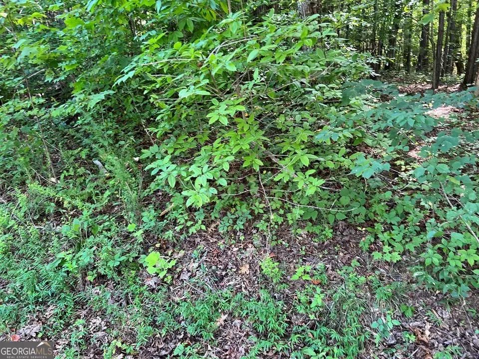  lot9 Deer Brook Subdivision, Hayesville, NC 28904 photo 8