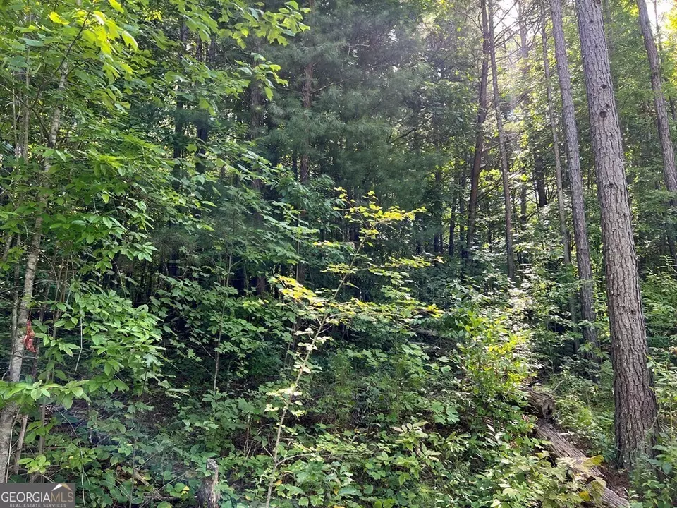  lot9 Deer Brook Subdivision, Hayesville, NC 28904 photo 11