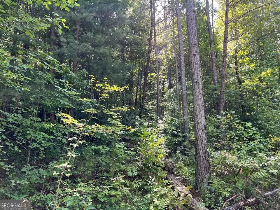  lot9 Deer Brook Subdivision, Hayesville, NC 28904 photo 3