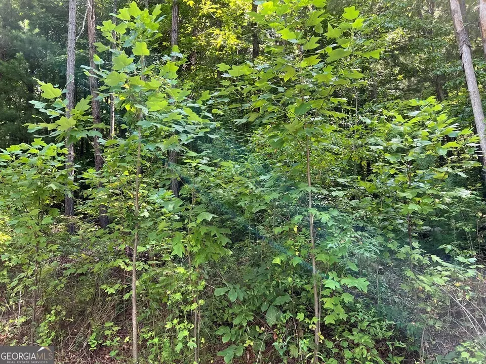  lot9 Deer Brook Subdivision, Hayesville, NC 28904 photo 14