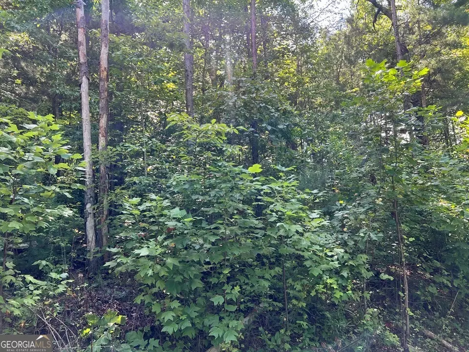  lot9 Deer Brook Subdivision, Hayesville, NC 28904 photo 15