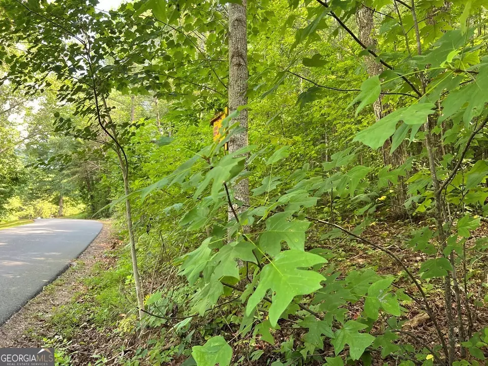  lot9 Deer Brook Subdivision, Hayesville, NC 28904 photo 17