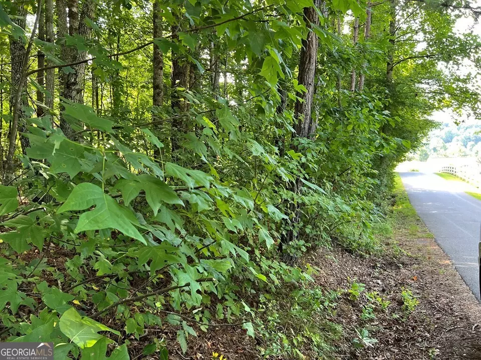  lot9 Deer Brook Subdivision, Hayesville, NC 28904 photo 4