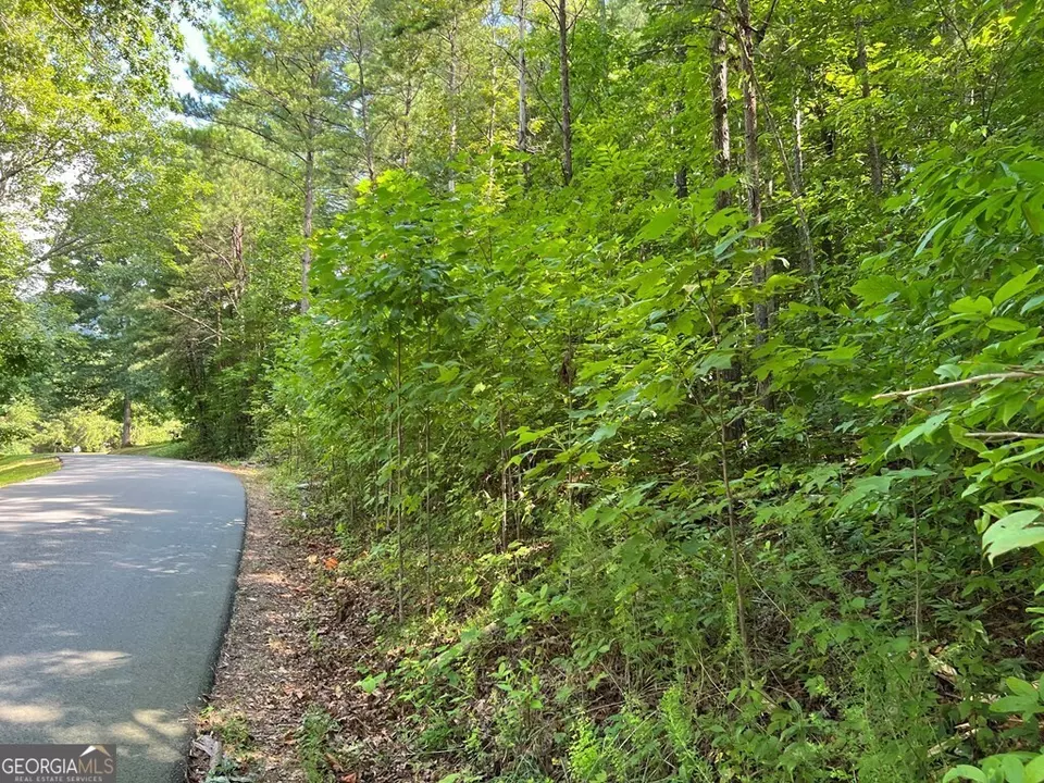  lot9 Deer Brook Subdivision, Hayesville, NC 28904 photo 18