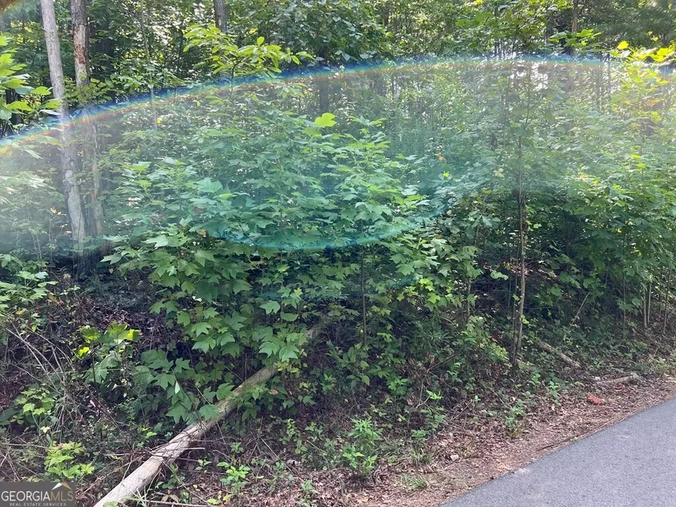  lot9 Deer Brook Subdivision, Hayesville, NC 28904 photo 7