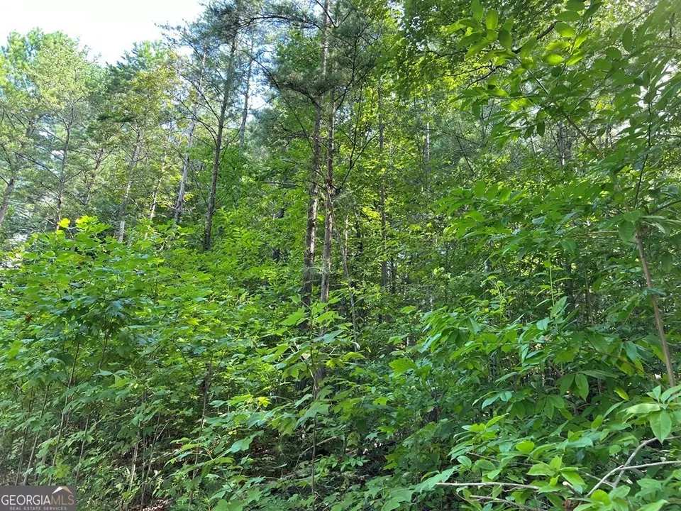  lot9 Deer Brook Subdivision, Hayesville, NC 28904 photo 16