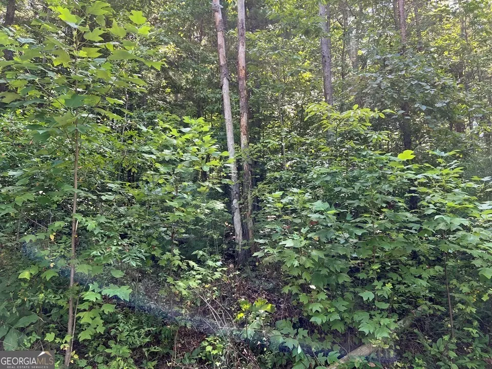  lot9 Deer Brook Subdivision, Hayesville, NC 28904 photo 19