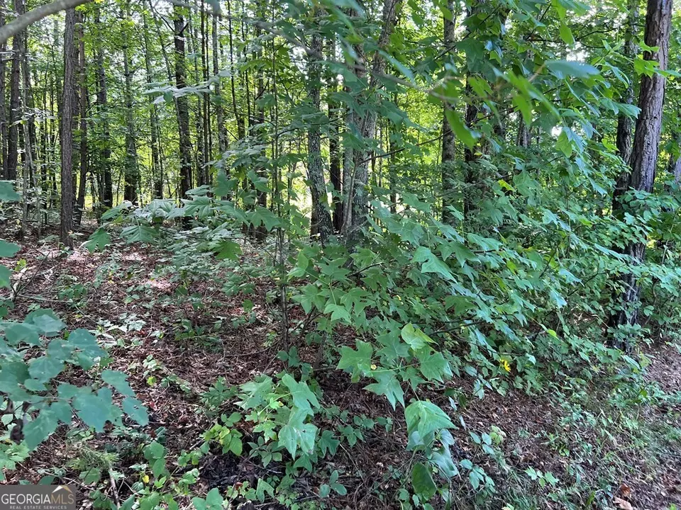  lot9 Deer Brook Subdivision, Hayesville, NC 28904 photo 6