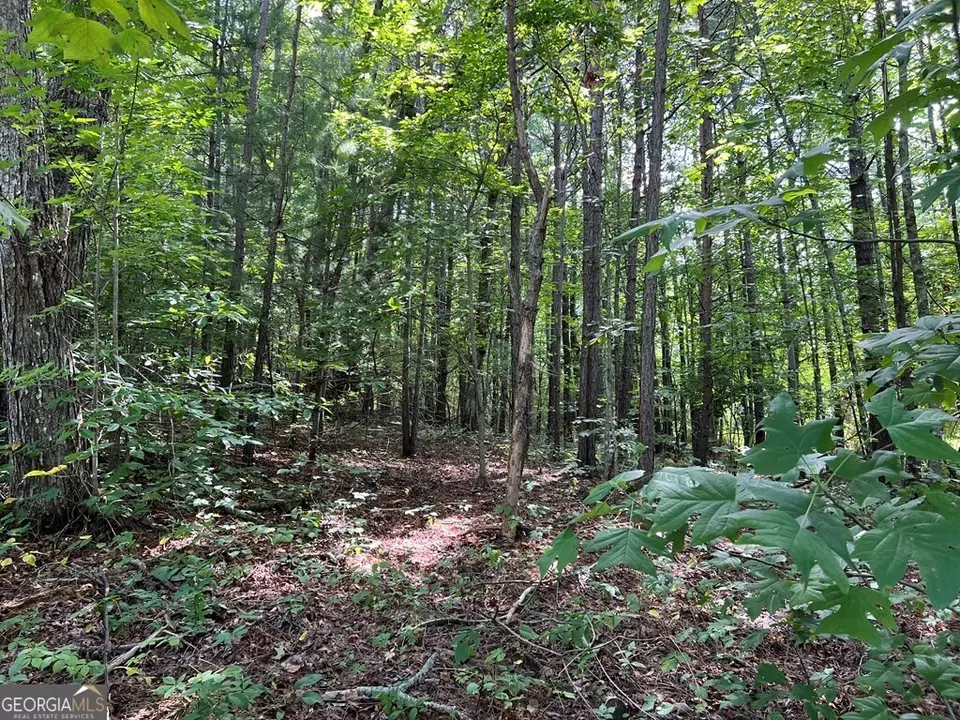  lot9 Deer Brook Subdivision, Hayesville, NC 28904 photo 9