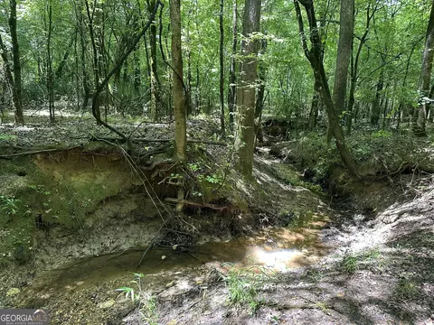 0201 Whitaker Rd, Roberta, GA 31078 photo 12