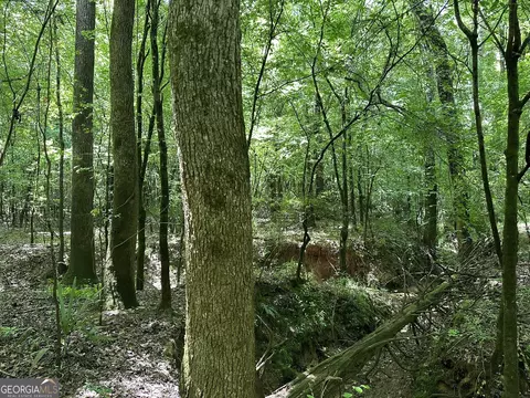 0201 Whitaker Rd, Roberta, GA 31078 photo 14