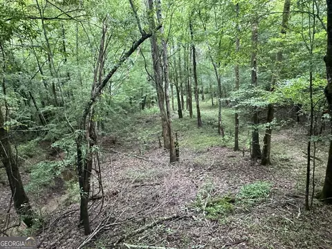 0201 Whitaker Rd, Roberta, GA 31078 photo 20