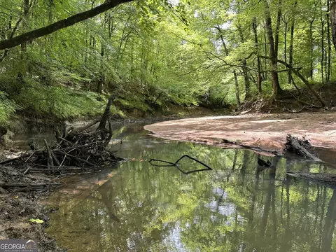 0201 Whitaker Rd, Roberta, GA 31078 photo 4
