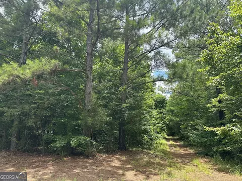 0201 Whitaker Rd, Roberta, GA 31078 photo 24