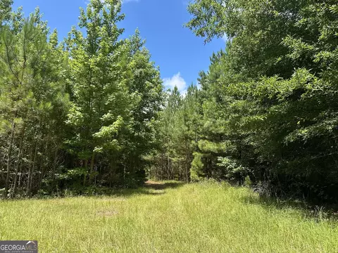 0201 Whitaker Rd, Roberta, GA 31078 photo 9