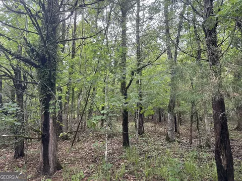 0201 Whitaker Rd, Roberta, GA 31078 photo 22