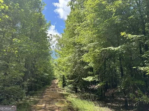 0201 Whitaker Rd, Roberta, GA 31078 photo 8