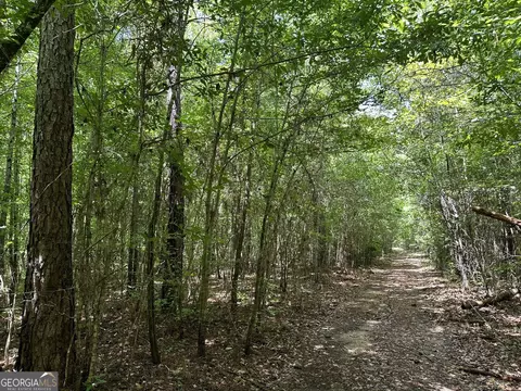 0201 Whitaker Rd, Roberta, GA 31078 photo 10