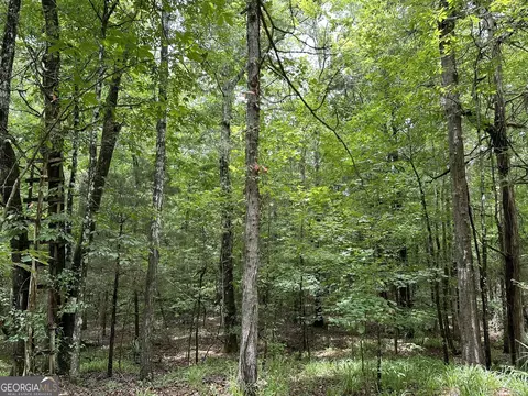 0201 Whitaker Rd, Roberta, GA 31078 photo 21