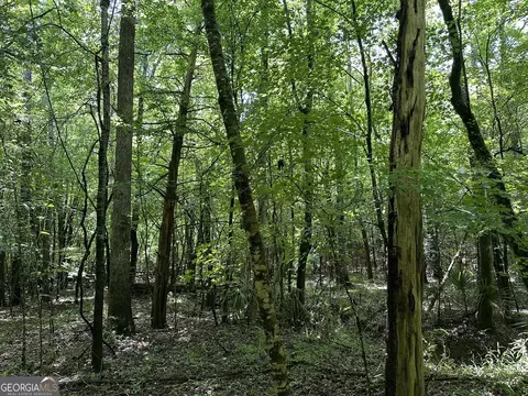 0201 Whitaker Rd, Roberta, GA 31078 photo 11