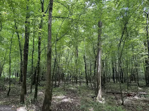 0201 Whitaker Rd, Roberta, GA 31078 photo 19