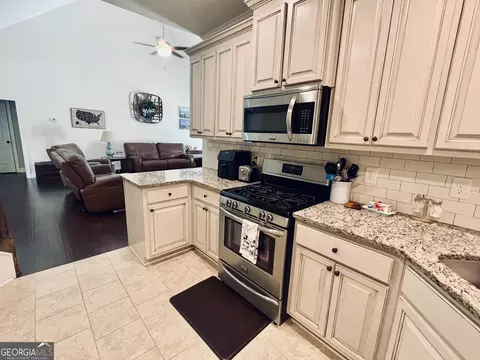 847 Smallwood Trce, Hampton, GA 30228 photo 16