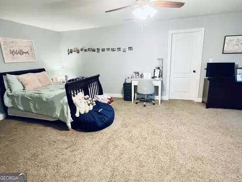 847 Smallwood Trce, Hampton, GA 30228 photo 24