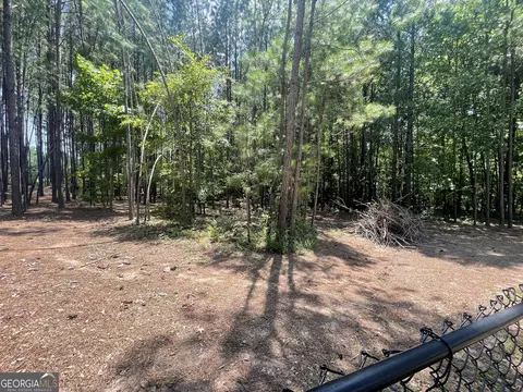 847 Smallwood Trce, Hampton, GA 30228 photo 33