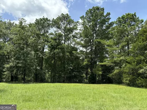 117 Pine Hill Rd, Cusseta, GA 31805