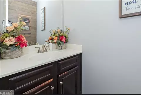 173 Christopher Michael Ln, Hampton, GA 30228 photo 17