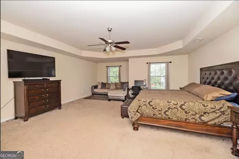 173 Christopher Michael Ln, Hampton, GA 30228 photo 20