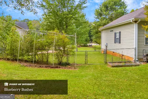 191 Summit Dr, Carnesville, GA 30521 photo 5