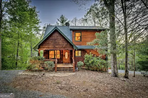 110 Little Falls Dr, Mineral Bluff, GA 30559