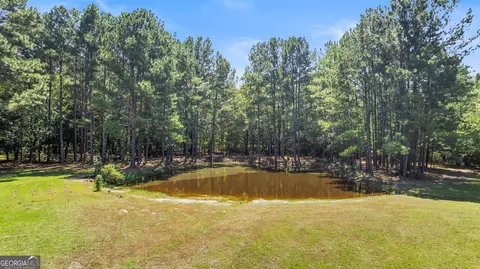 8957 Blacks Bluff Rd SW, Cave Spring, GA 30124 photo 43
