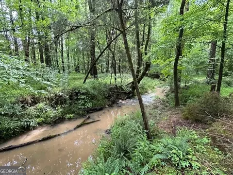 0 Silas Mercer Rd, Crawfordville, GA 30631