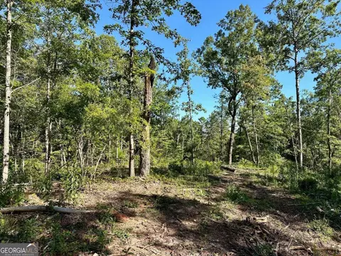 4 43 Lawrence Rd, Dawsonville, GA 30534
