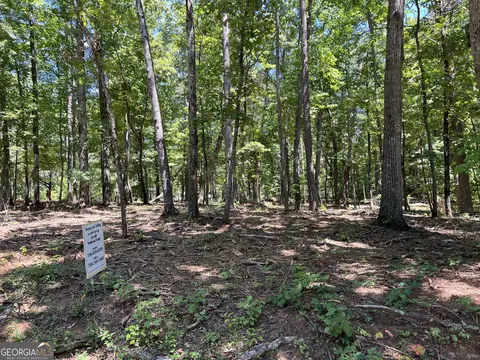 1 00 Acre Tract Dogwood Ln, Cleveland, GA 30528