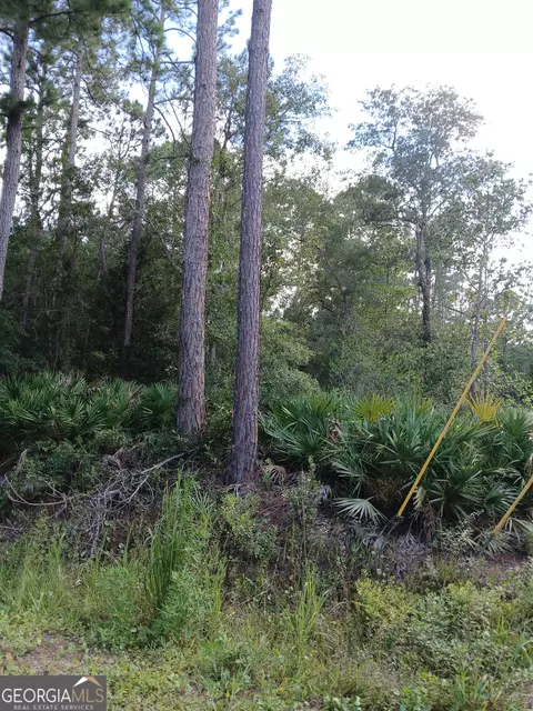 0 Central Lots 789 10 #LOT S 7,8,9, & 10, Folkston, GA 31537