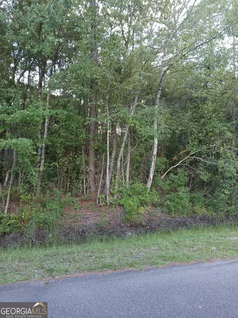 0 Pine Street Lots 345 6 St #LOT S 3,4,5, & 6, Folkston, GA 31537