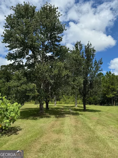 352 Pine Forest Rd, Ochlocknee, GA 31773 photo 10