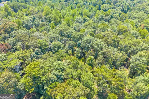 0 Paradise Park Rd, Cornelia, GA 30531 photo 17