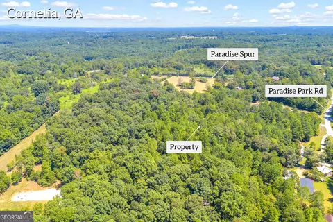 0 Paradise Park Rd, Cornelia, GA 30531 photo 8