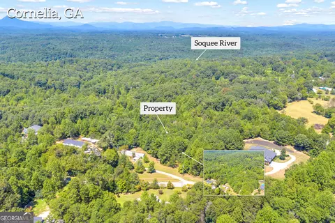 0 Paradise Park Rd, Cornelia, GA 30531 photo 11